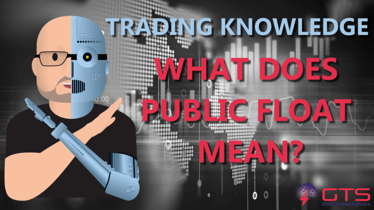 what does public float mean